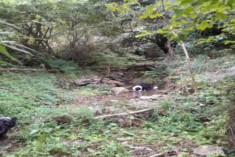 Photo of property in 1806 Northbank Road, Onamalutu, Blenheim, 7275