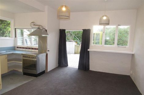 Photo of property in 29 Durham Street, Aro Valley, Wellington, 6021