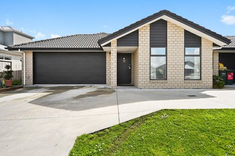 Photo of property in 208 Borman Road, Rototuna North, Hamilton, 3210