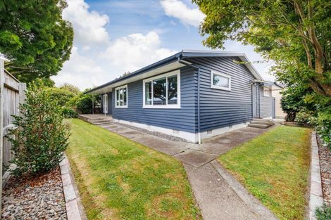 Photo of property in 138 North Street, Feilding, 4702