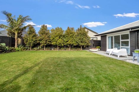 Photo of property in 117 Palm Springs Boulevard, Papamoa Beach, Papamoa, 3118