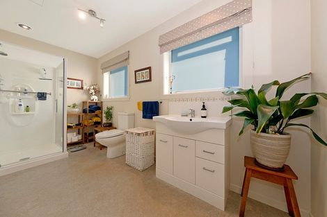 Photo of property in 16 Donegal Street, Belfast, Christchurch, 8051