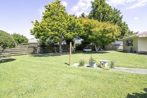 Photo of property in 39 Snowdon Avenue, Terrace End, Palmerston North, 4410