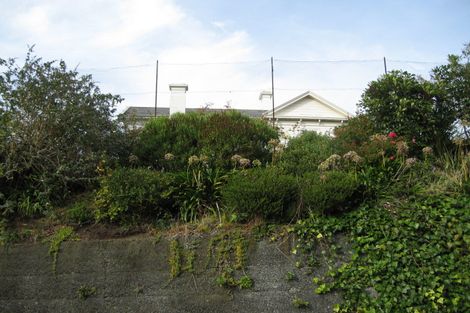 Photo of property in 32 Littlebourne Road, Roslyn, Dunedin, 9010