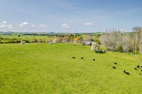 Photo of property in 510 Porangahau Road, Waipukurau, 4282