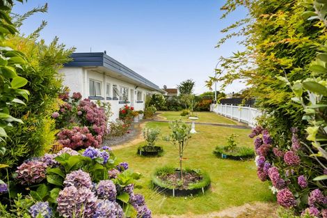 Photo of property in 31 Kamahi Avenue, Hawera, 4610