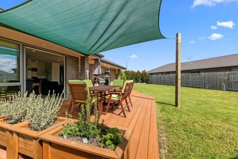 Photo of property in 141 Doncaster Drive, Papamoa Beach, Papamoa, 3118