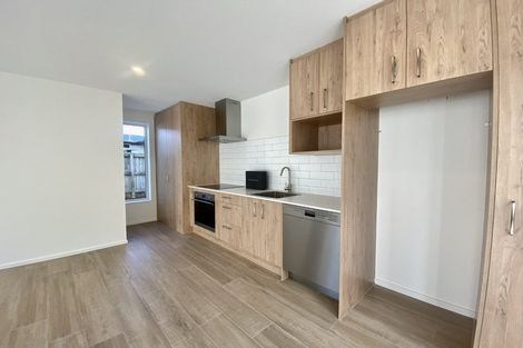 Photo of property in 2/87 Barbour Street, Waltham, Christchurch, 8011