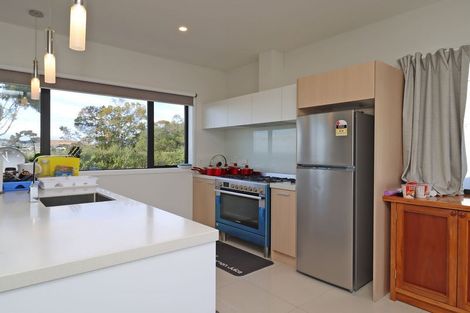Photo of property in 17 Joy Street, Albany Heights, Auckland, 0632