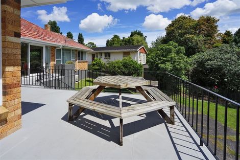 Photo of property in 24 Riverview Terrace, Fairfield, Hamilton, 3214