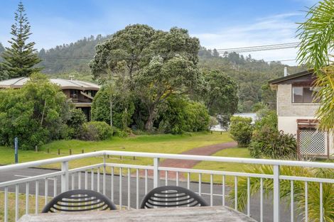 Photo of property in 116 Patuwai Drive, Whangamata, 3620