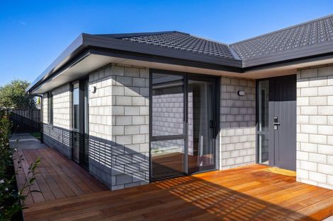 Photo of property in 259a Scott Street, Redwoodtown, 7201