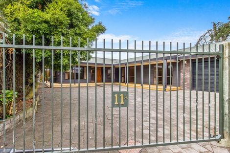 Photo of property in 11a Darley Street, Maeroa, Hamilton, 3200