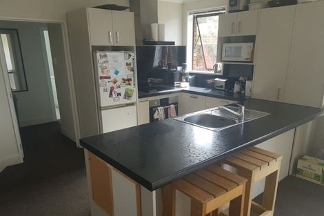 Photo of property in 17 Goldsmith Place, Waltham, Christchurch, 8023