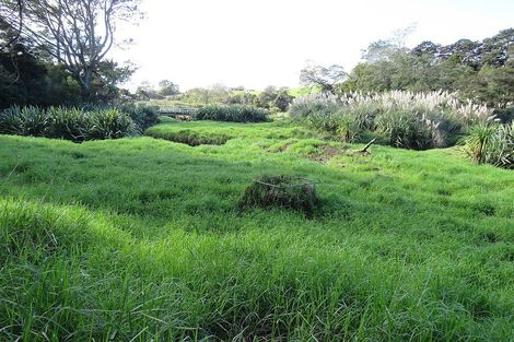 Photo of property in 150 Hall Road, Sawyers Bay, Port Chalmers, 9023