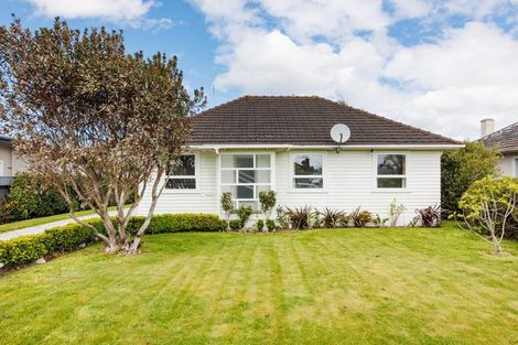 Photo of property in 67 Guy Avenue, Takaro, Palmerston North, 4410