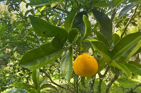 Photo of property in 5 Yarborough Street, Kohukohu, 0491