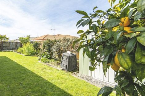 Photo of property in 25 Fahey Avenue, Mount Maunganui, 3116
