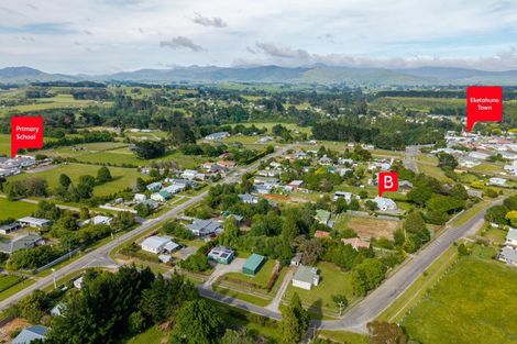 Photo of property in 20 Haswell Street, Eketahuna, 4900