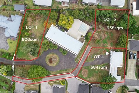 Photo of property in 19 Emsworth Court, Pukekohe, 2120