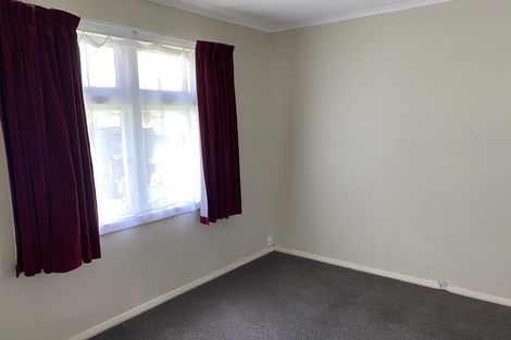 Photo of property in 411 Hastings Street South, Akina, Hastings, 4122