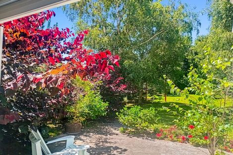 Photo of property in 86 Grey Street, Woodville, 4920