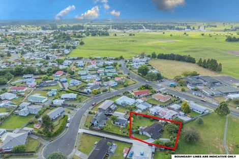 Photo of property in 9 Waipuna Place, Tokoroa, 3420
