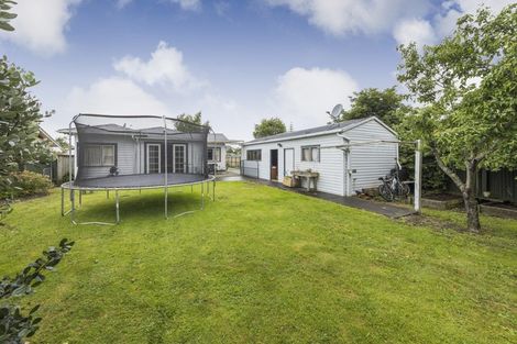 Photo of property in 38 Shamrock Street, Takaro, Palmerston North, 4412