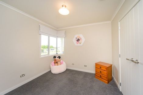 Photo of property in 12 Wapiti Avenue, Feilding, 4775
