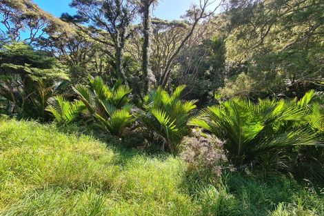 Photo of property in 79 Woods Road South, Colville, Coromandel, 3584