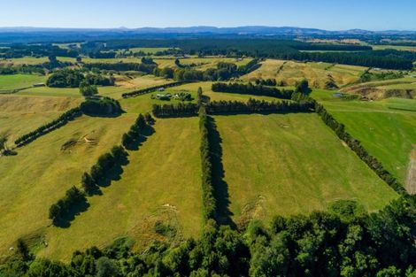 Photo of property in 1798 Te Matai Road, Te Ranga, Te Puke, 3188
