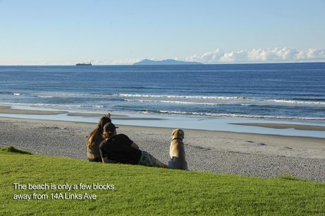 Photo of property in 14a Links Avenue, Mount Maunganui, 3116