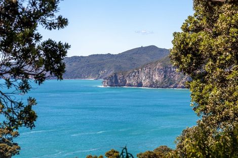 Photo of property in 102 Waihirere Drive, Tuateawa, Coromandel, 3583