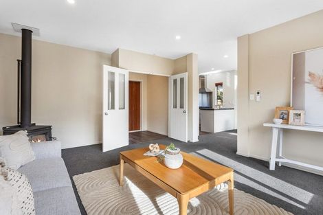 Photo of property in 47 Birchfield Avenue, Dallington, Christchurch, 8061