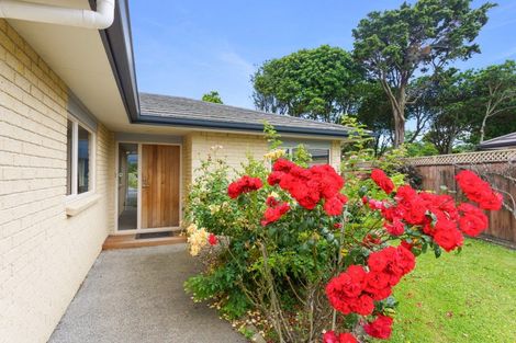 Photo of property in 42 Sue Avenue, Otaki, 5512