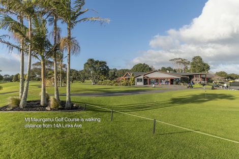 Photo of property in 14a Links Avenue, Mount Maunganui, 3116