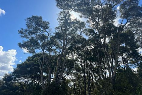 Photo of property in 11 Ti Tree Lane, Stanmore Bay, Whangaparaoa, 0932