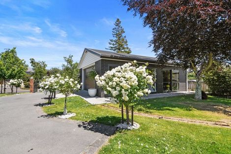 Photo of property in 11 Ardilea Avenue, Stoke, Nelson, 7011