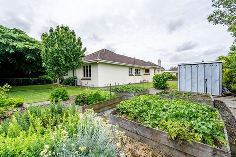 Photo of property in 437 Racecourse Road, Hargest, Invercargill, 9810