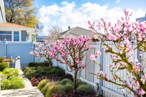 Photo of property in 68a Lee Street, Blenheim, 7201