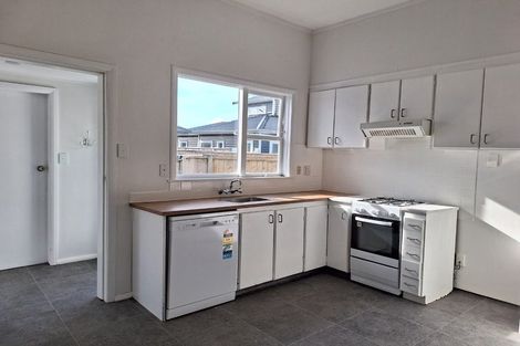 Photo of property in 95 Pretoria Street, Hutt Central, Lower Hutt, 5010