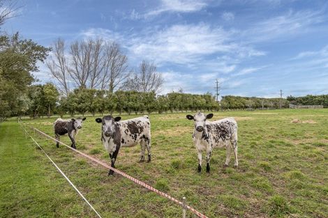 Photo of property in 478 Newtons Road, Rolleston, Christchurch, 7675