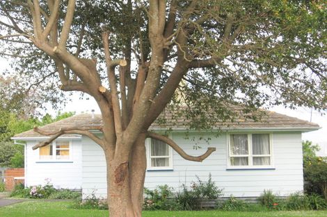 Photo of property in 58 Lyell Road, Outer Kaiti, Gisborne, 4010