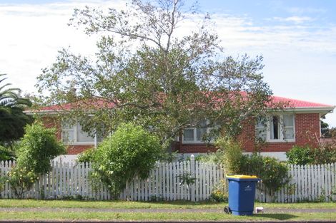 Photo of property in 19 Norcross Avenue, Henderson, Auckland, 0612