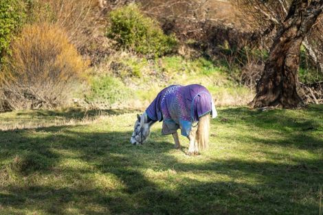 Photo of property in 10 Station Road, Mauriceville, Masterton, 5882