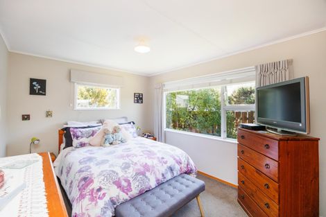 Photo of property in 102 Denbigh Street, Feilding, 4702