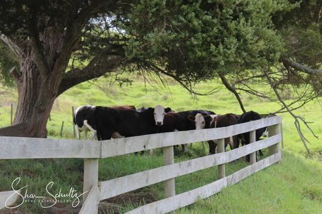 Photo of property in 215c Heatley Road, Whakapirau, 0583