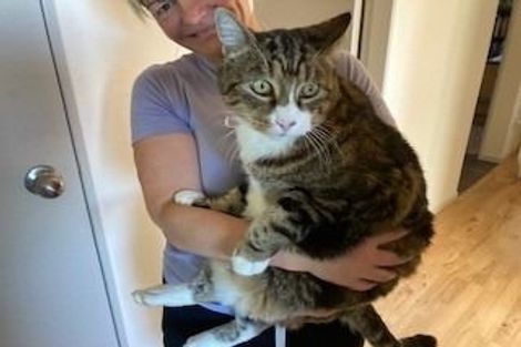 Photo of property in 136 Leyland Road, Whakamarama, Tauranga, 3179