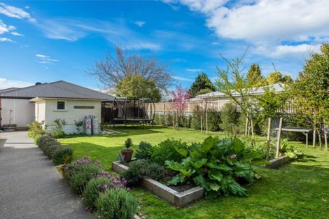 Photo of property in 26 Monro Street, Blenheim, 7201
