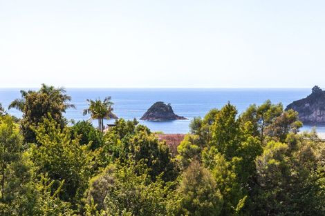 Photo of property in 65 Grange Road, Hahei, Whitianga, 3591